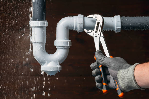 Professional Plumbing technician working in Davis, IL